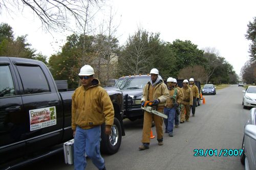 Browns Tree Care Crew